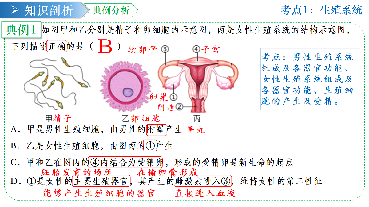 18376057第6页