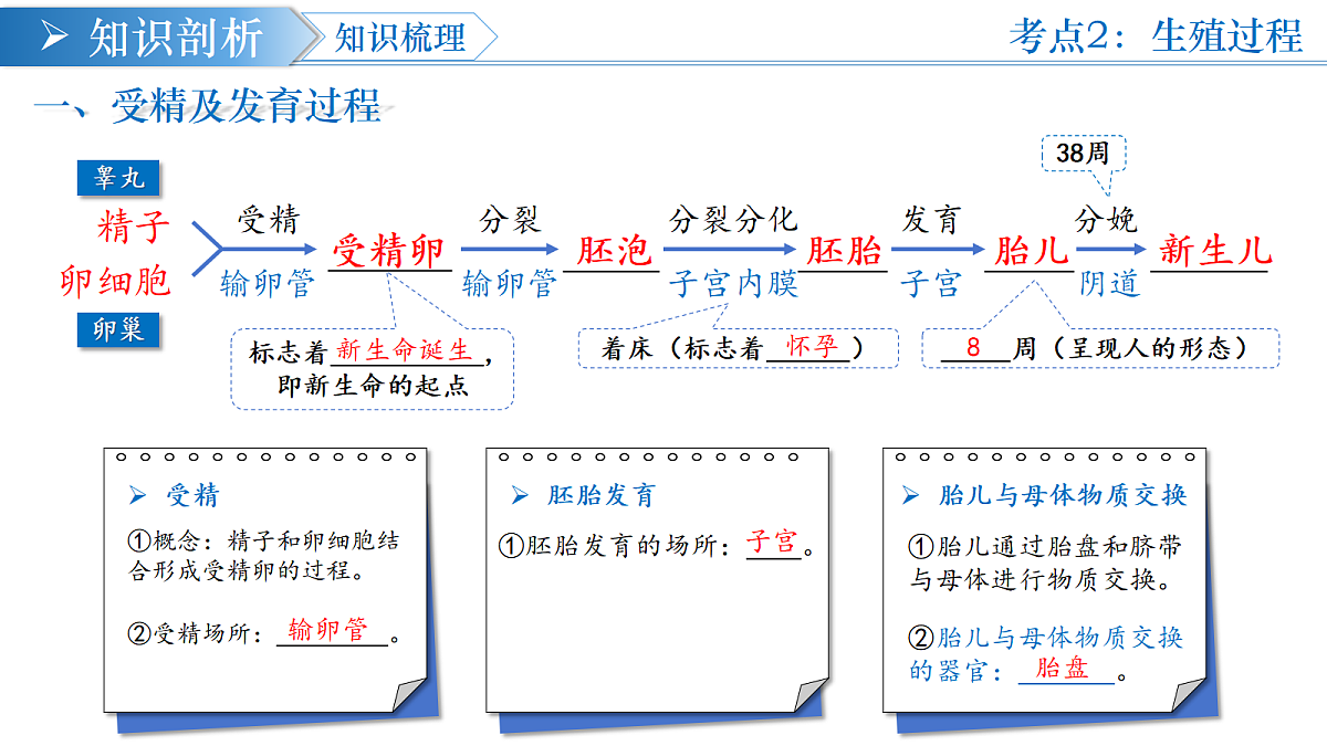 18376057第7页