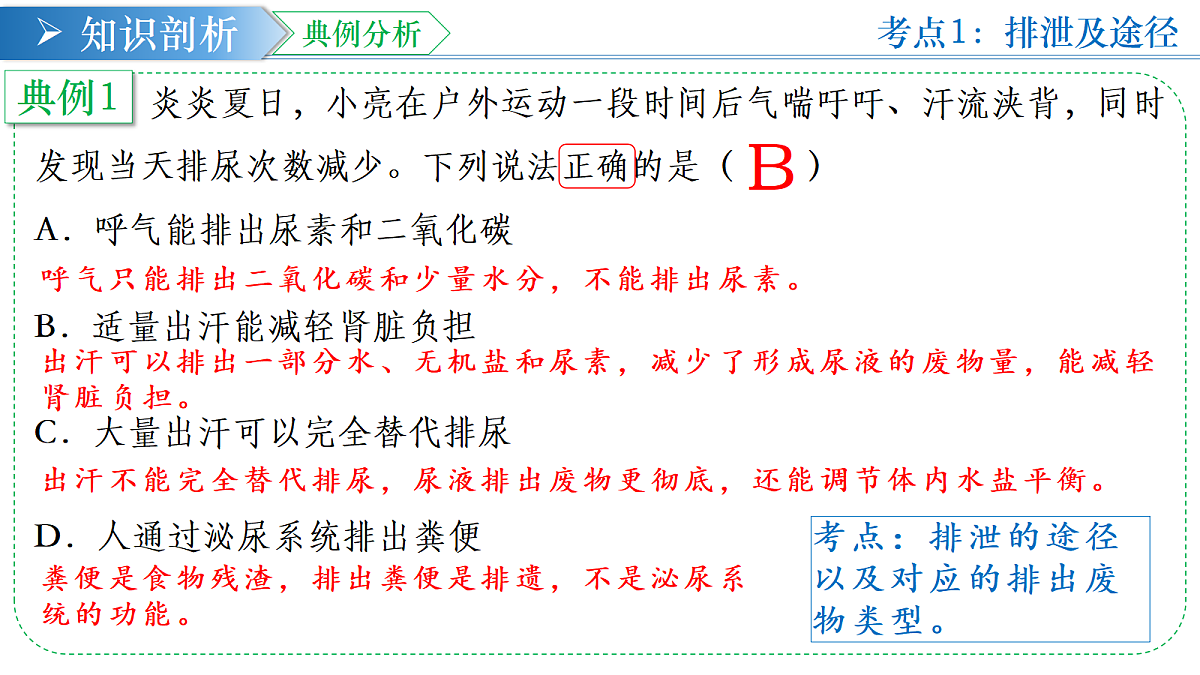 18376058第7页