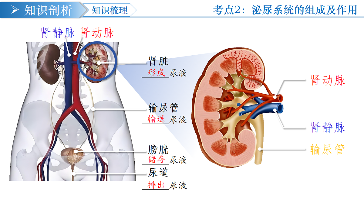 18376058第8页