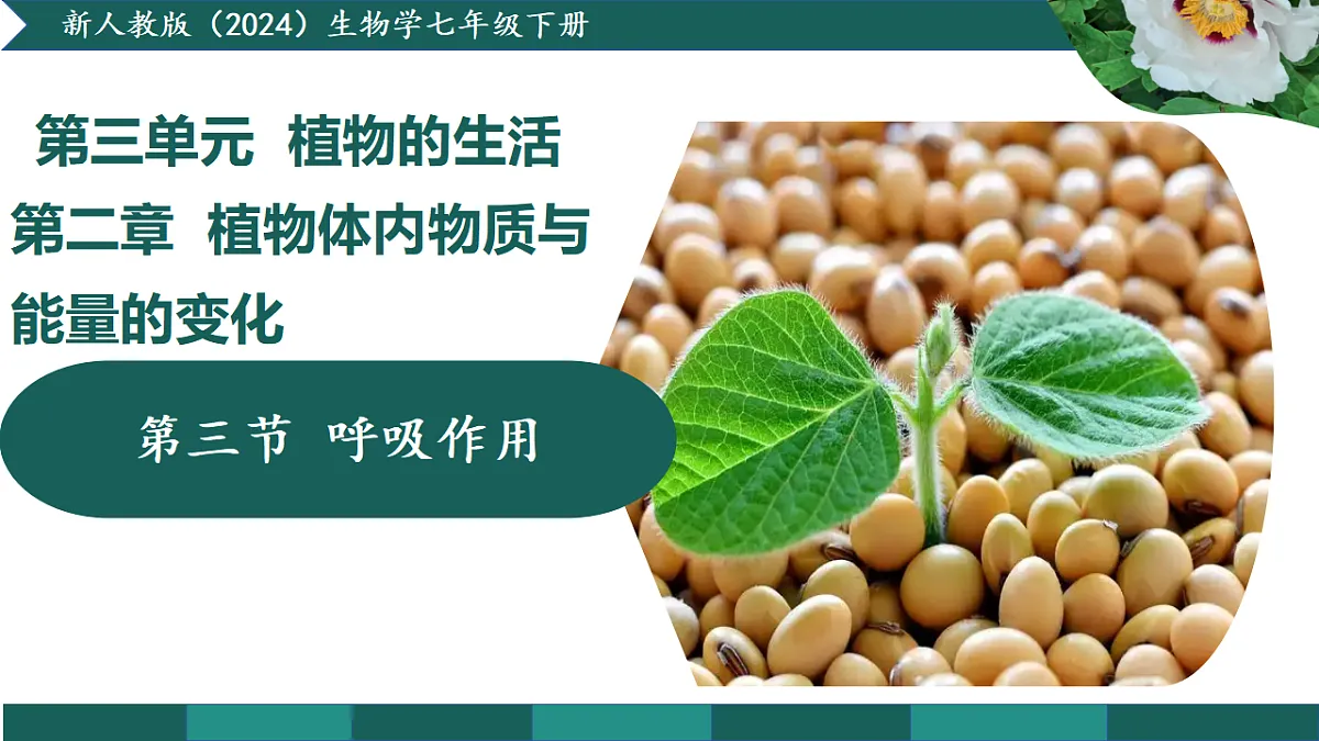 18376106第1页