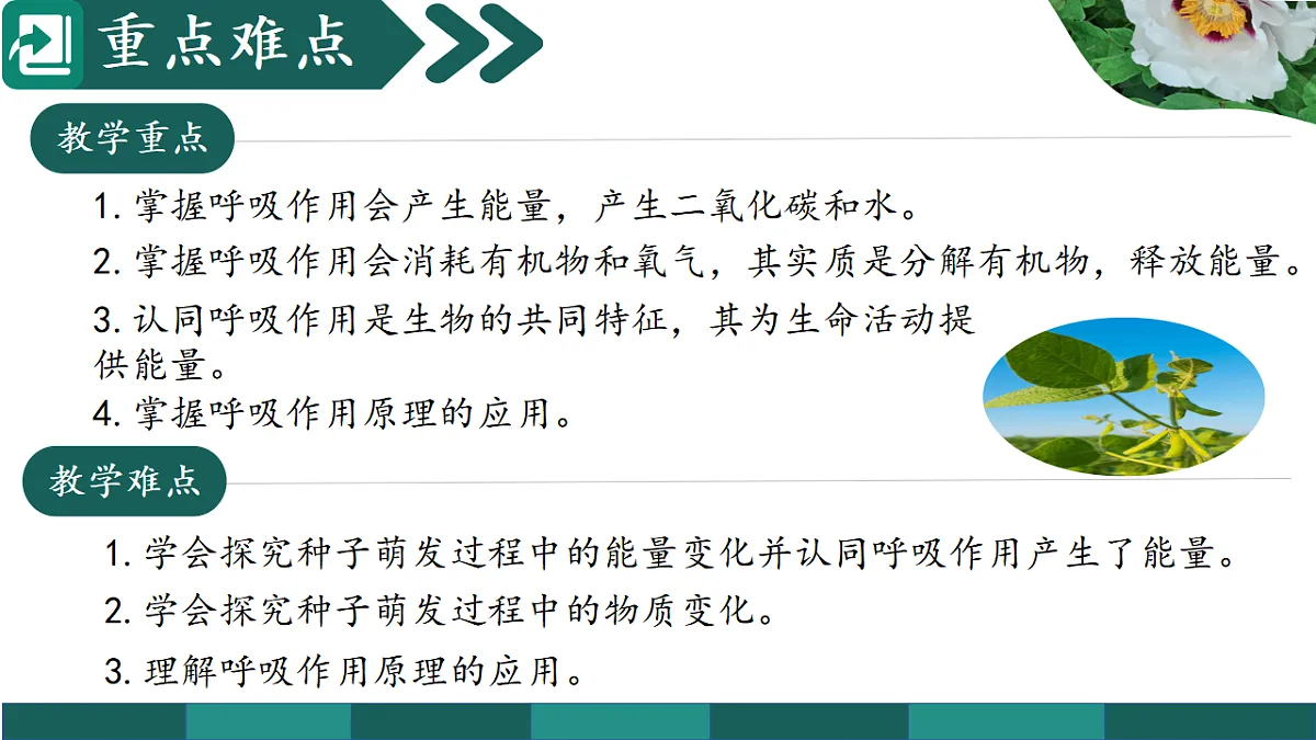 18376106第3页