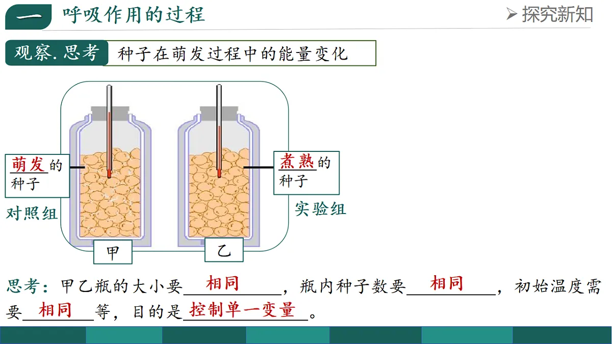 18376106第5页