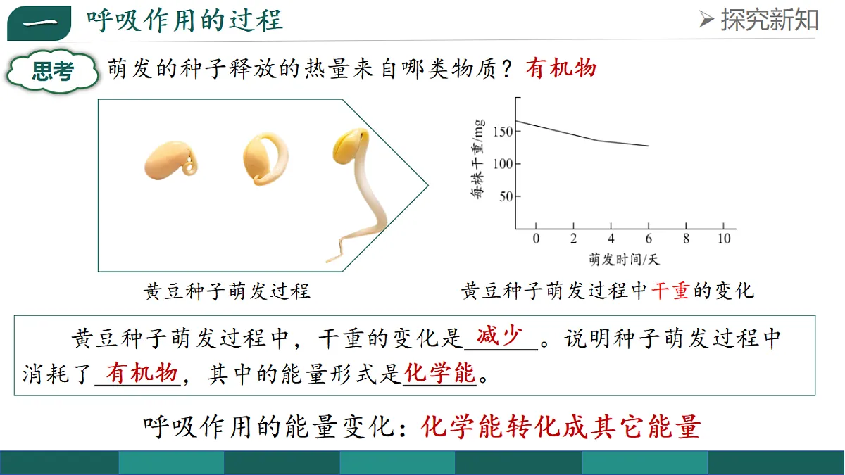 18376106第7页