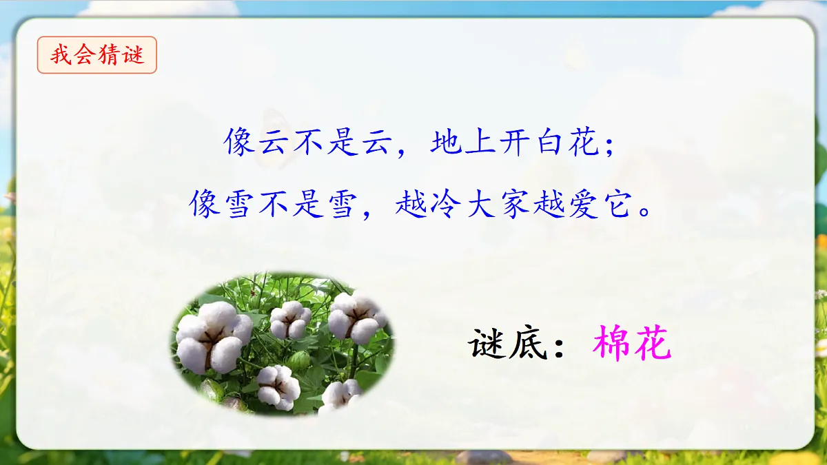 18376844第3页