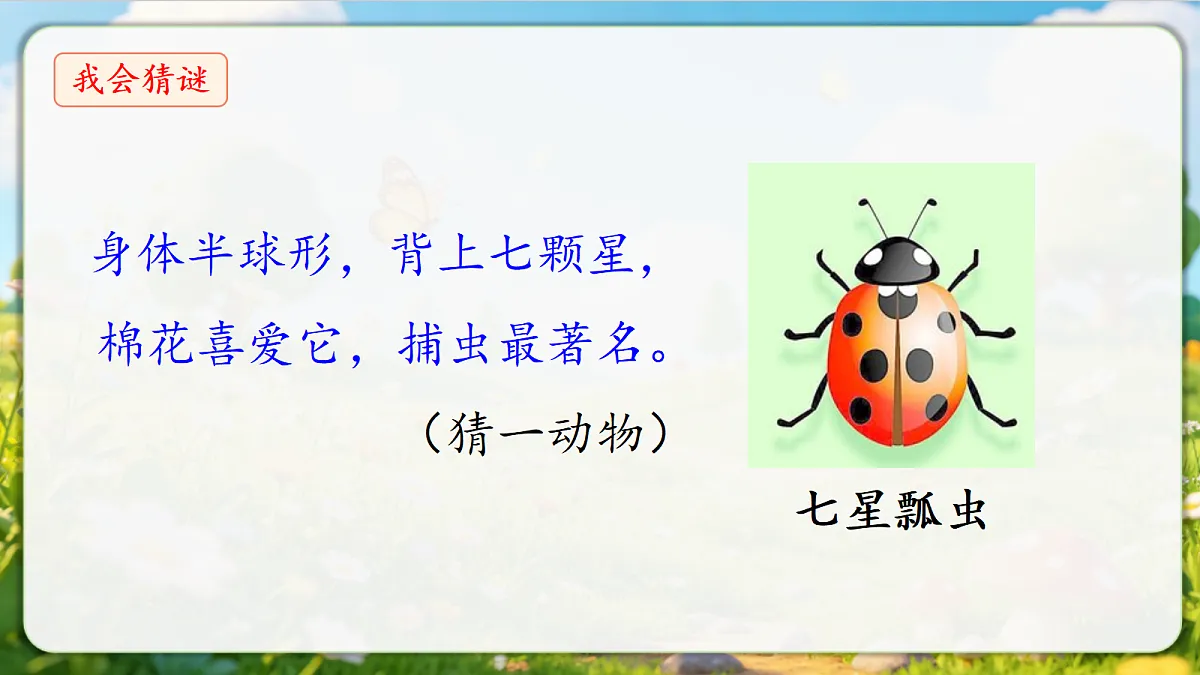18376844第4页