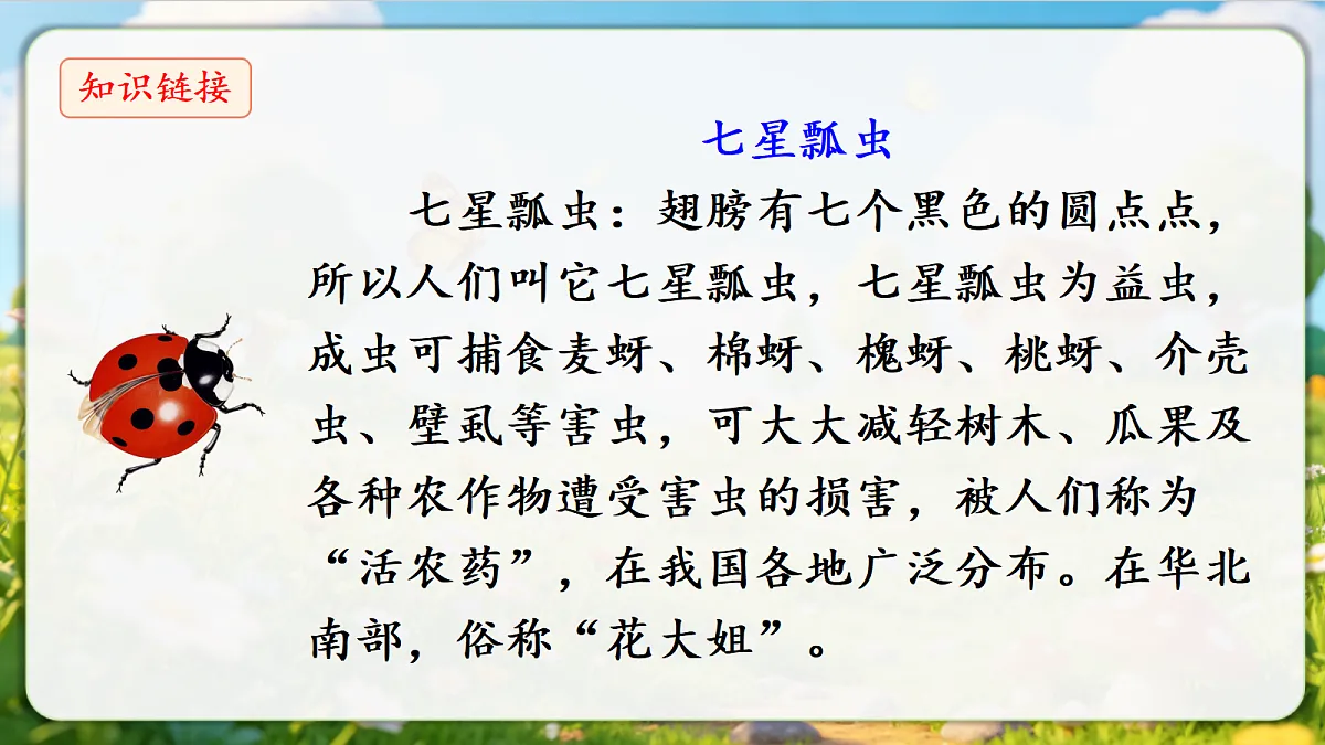 18376844第6页