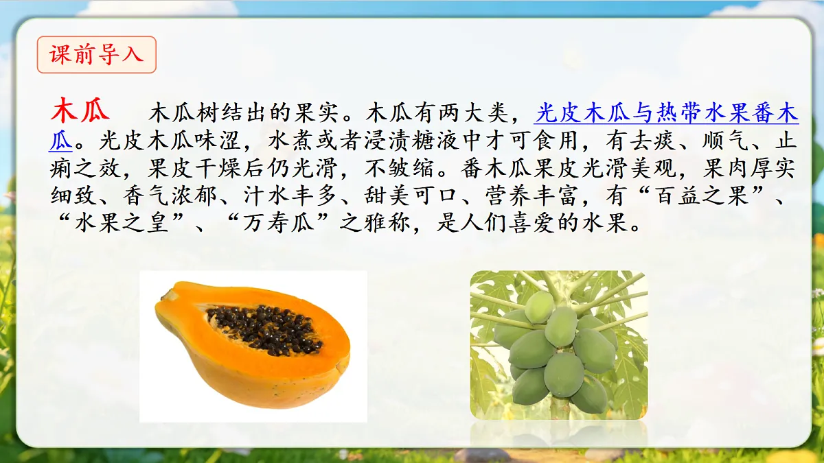 18376845第7页