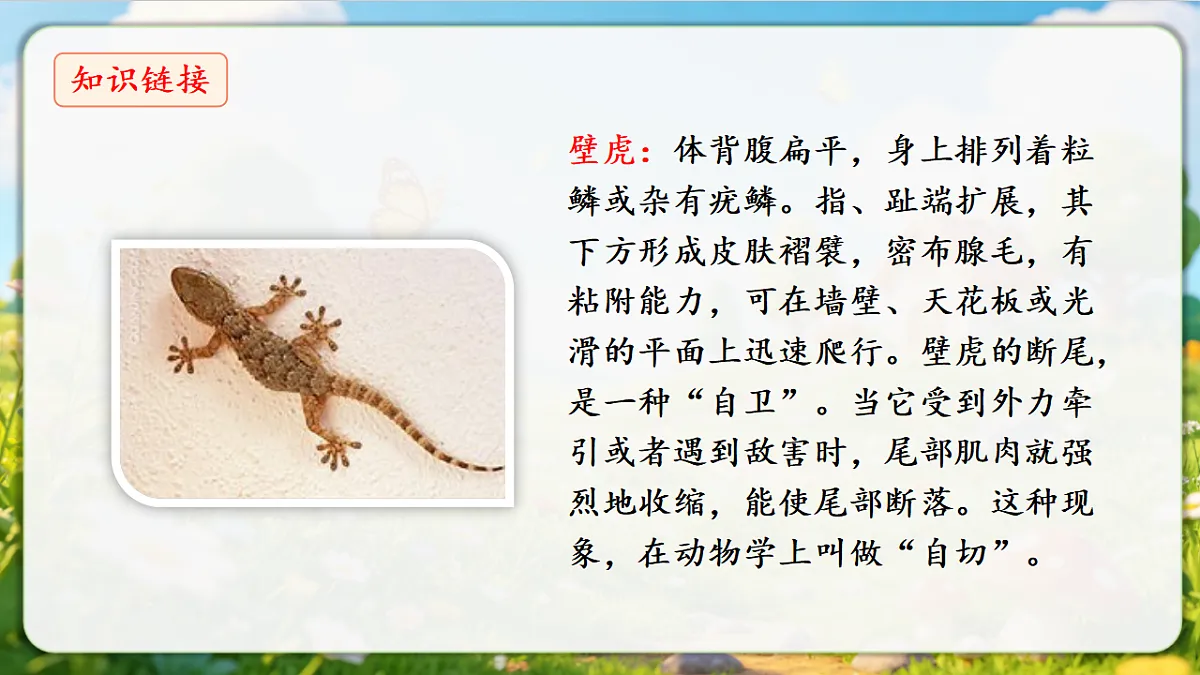 18376846第4页