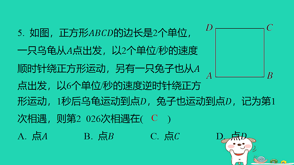 18377768第7页