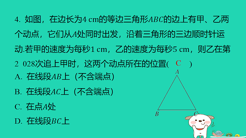 18377798第7页