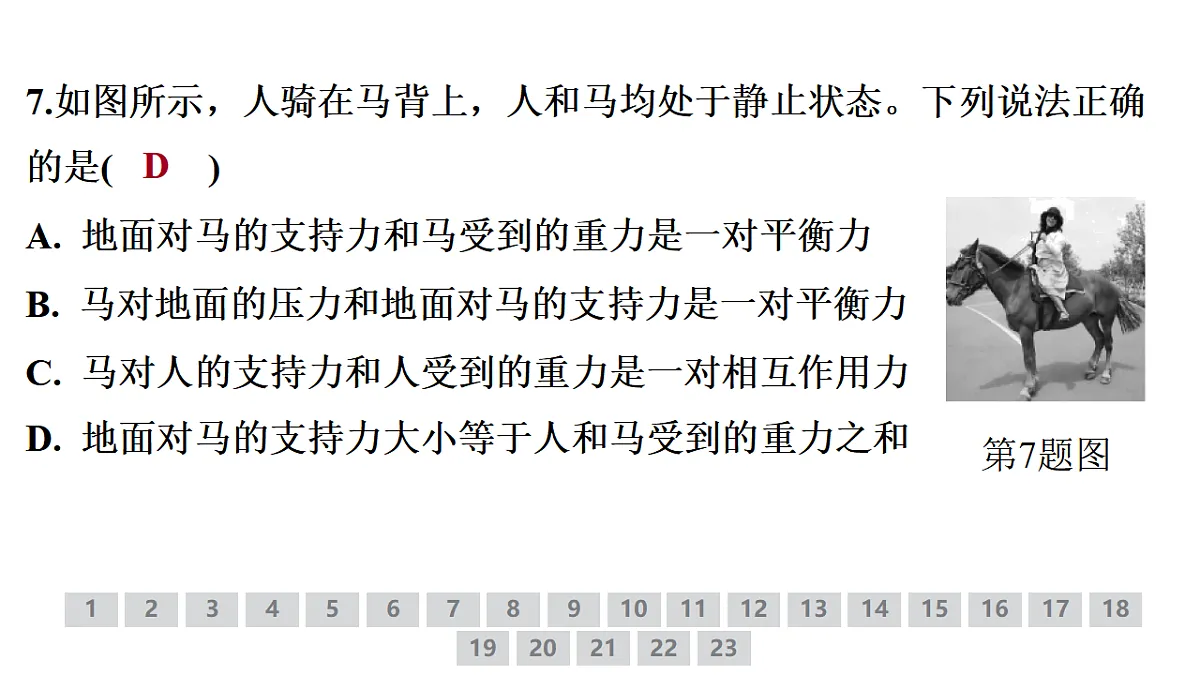 18378367第8页
