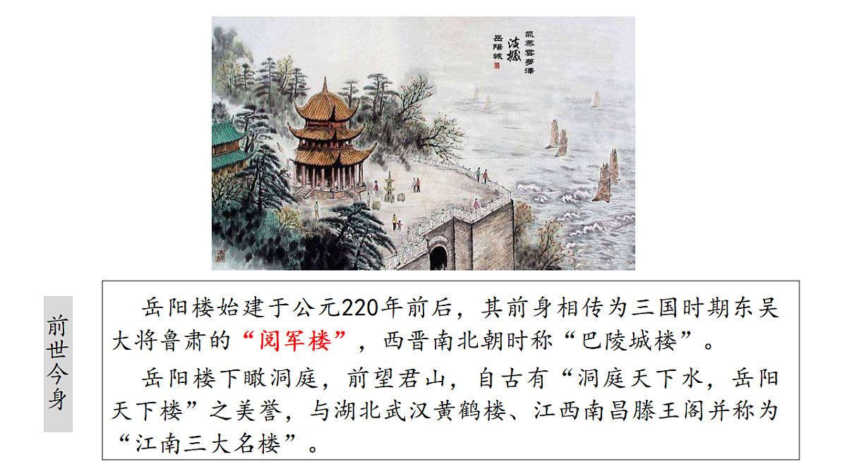 18378604第3页