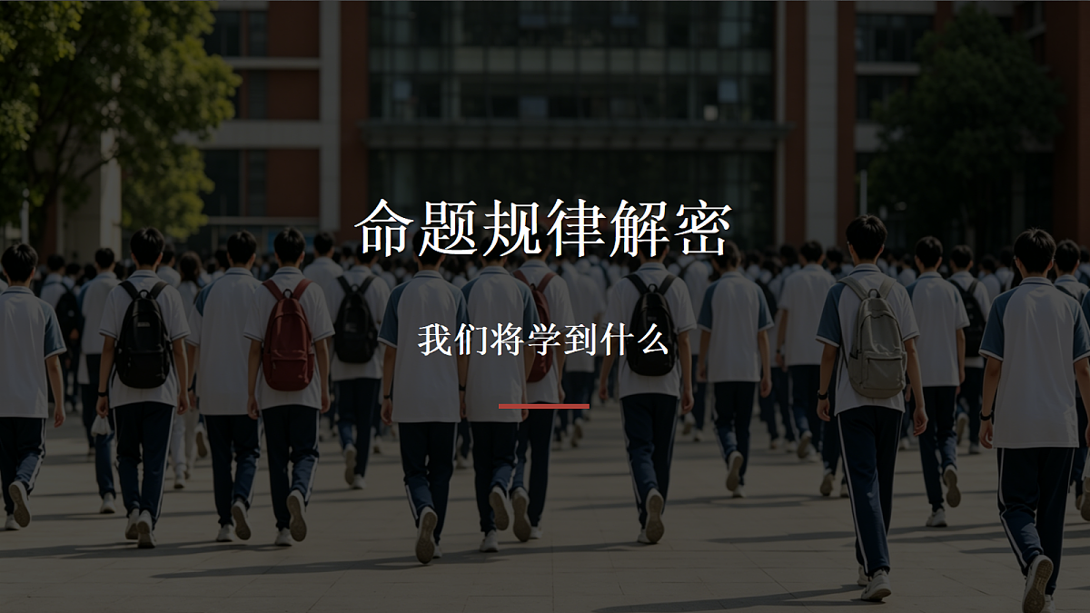 18379308第3页
