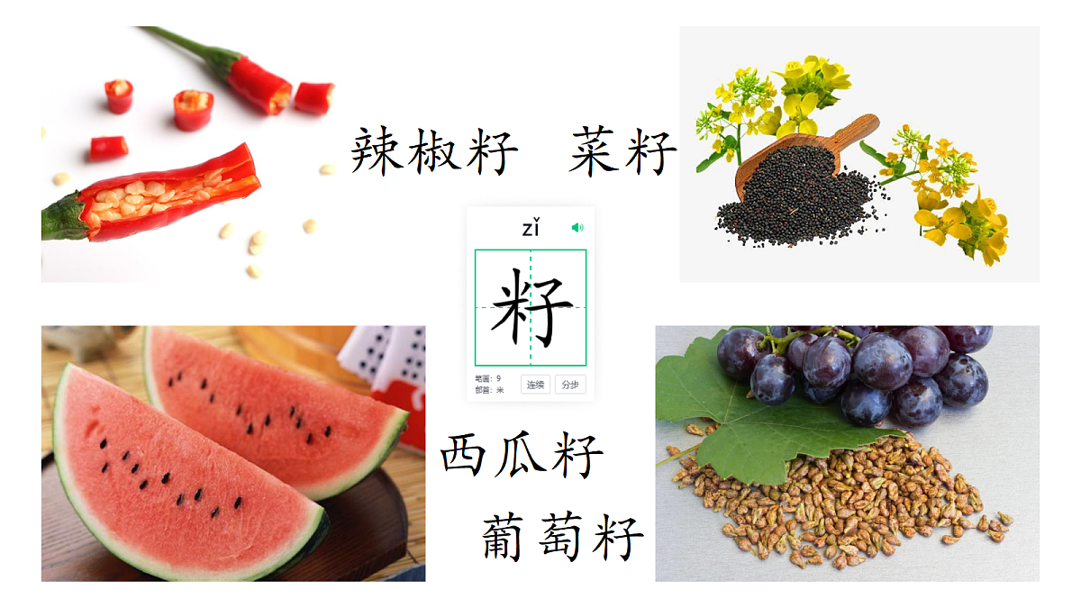 18379996第5页