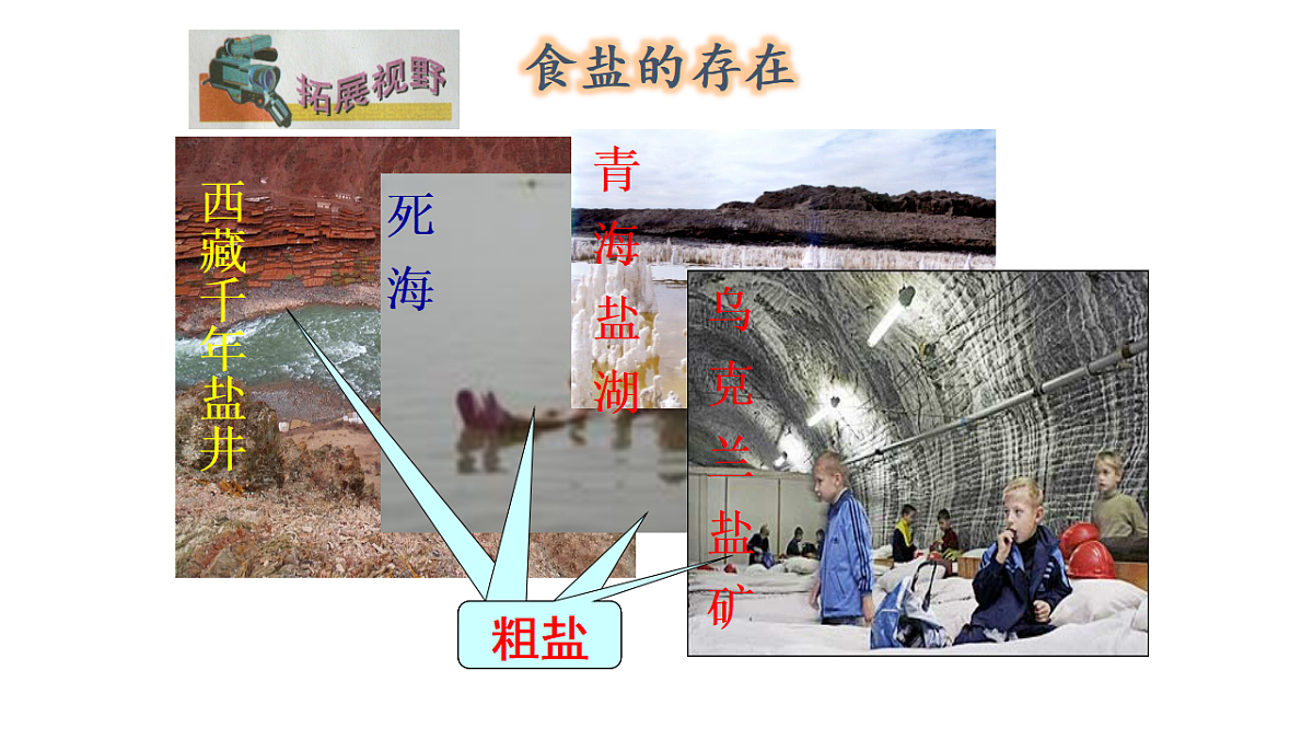 18381309第4页