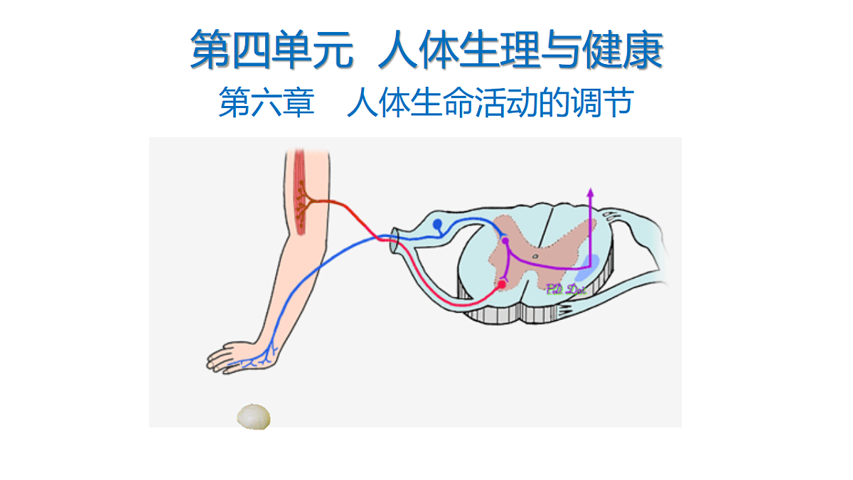 18381315第1页