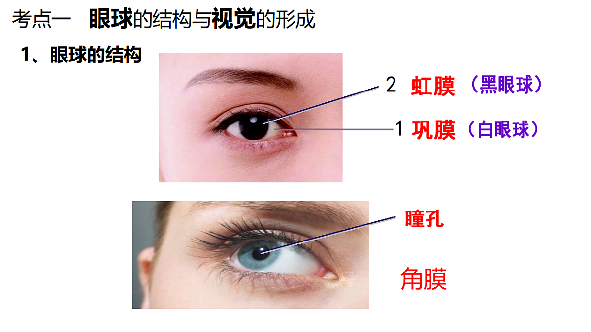 18381315第2页