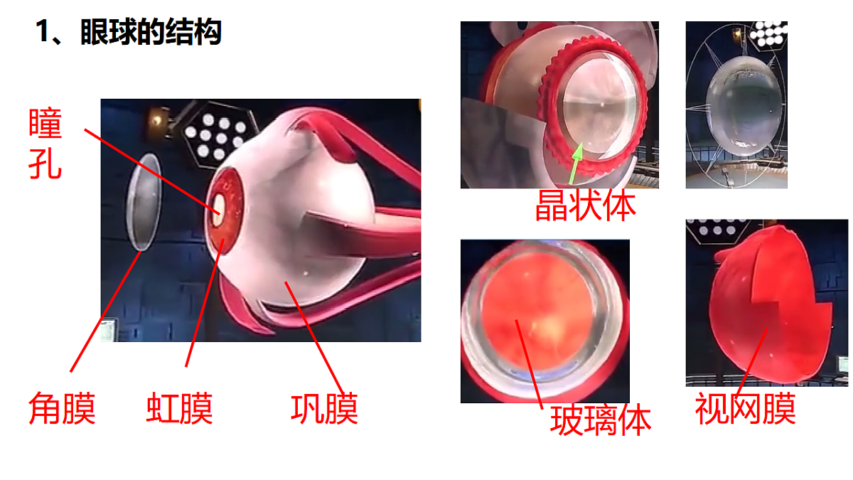 18381315第3页