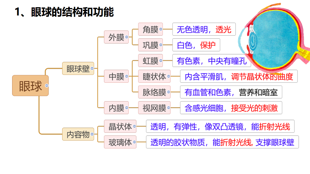 18381315第4页