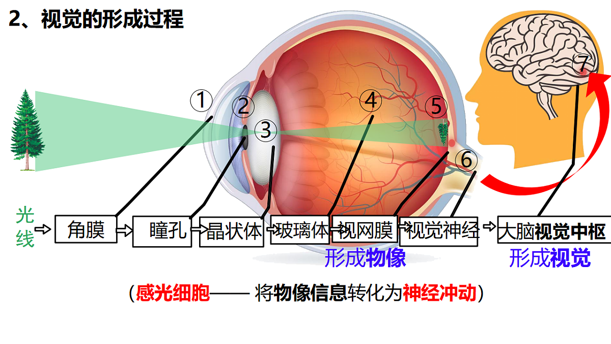 18381315第5页
