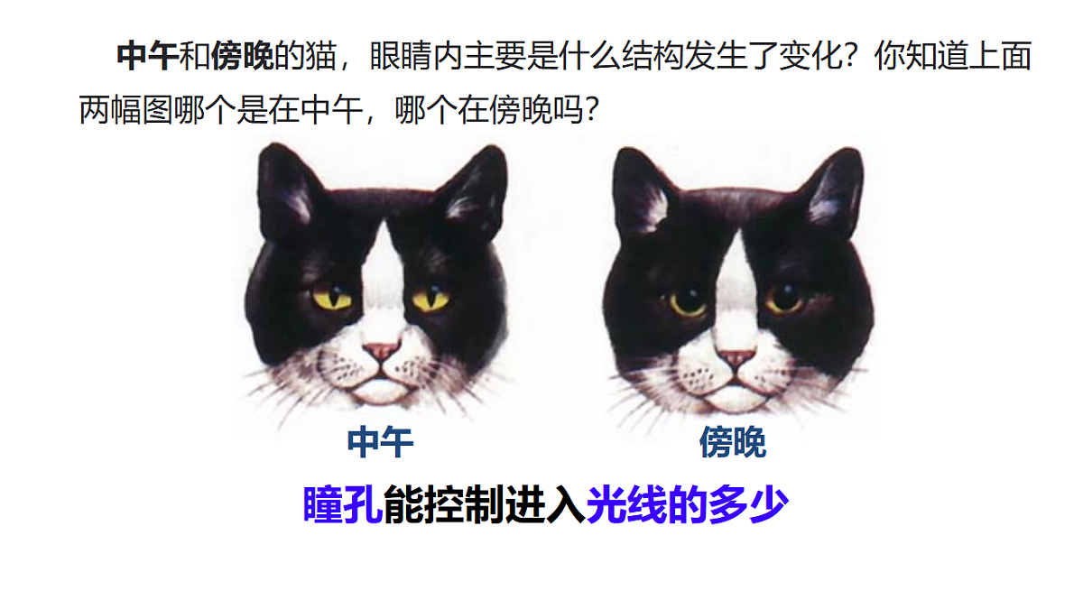 18381315第6页