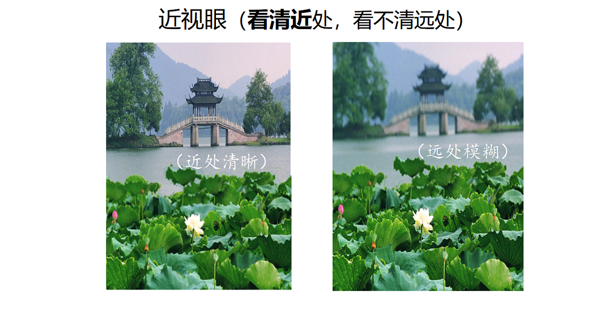 18381315第8页