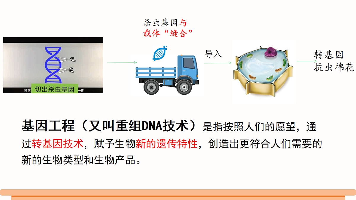 18381424第2页