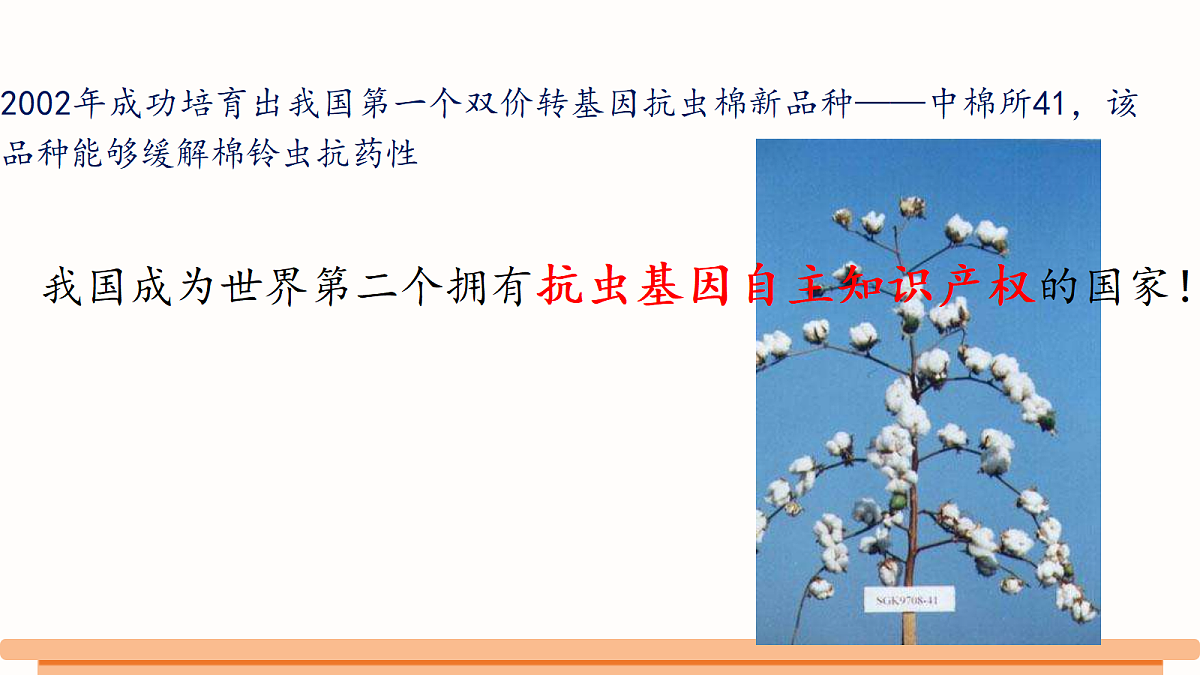 18381424第3页