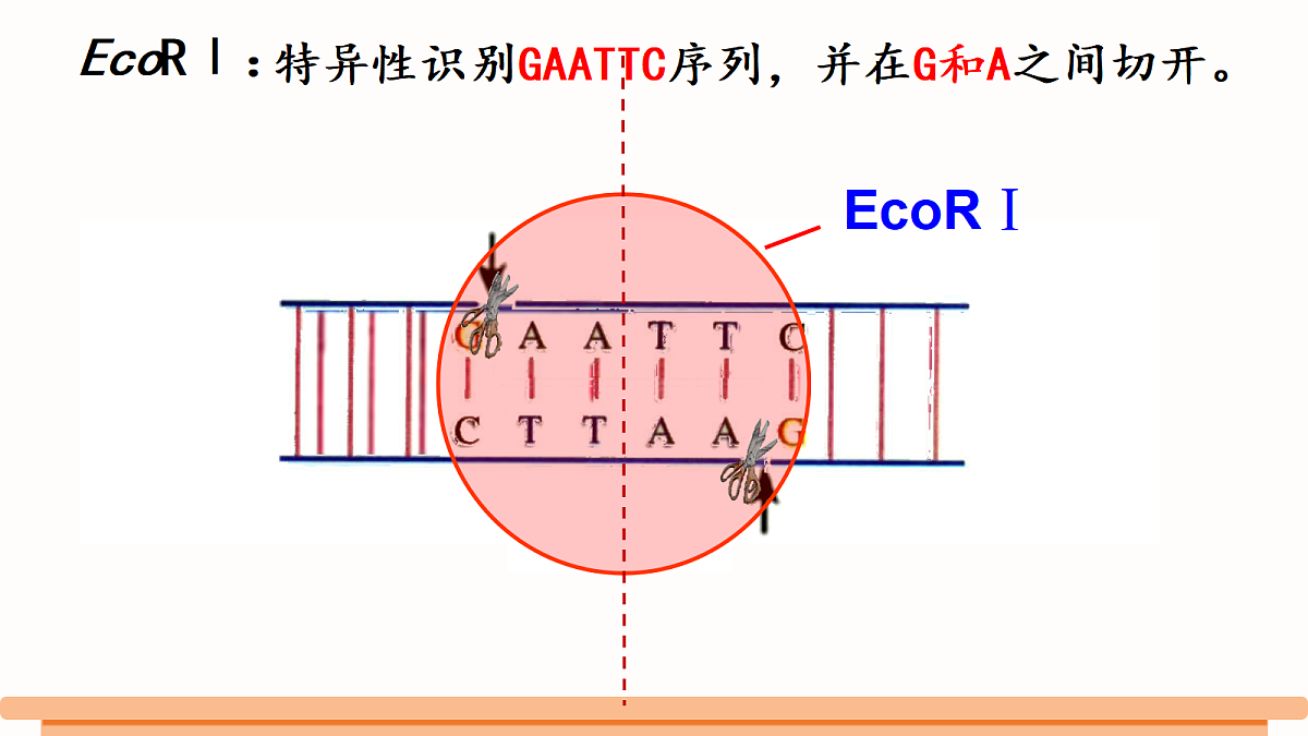 18381424第8页