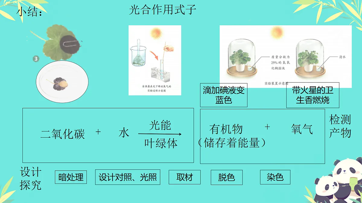 18381433第4页