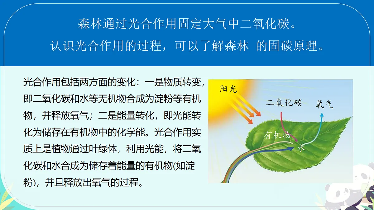 18381433第5页