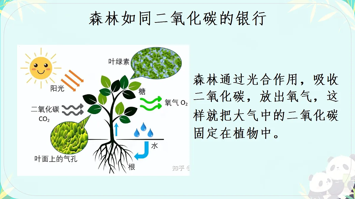 18381433第6页