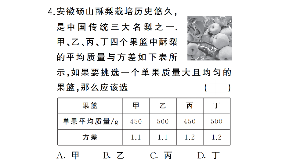 18384831第4页