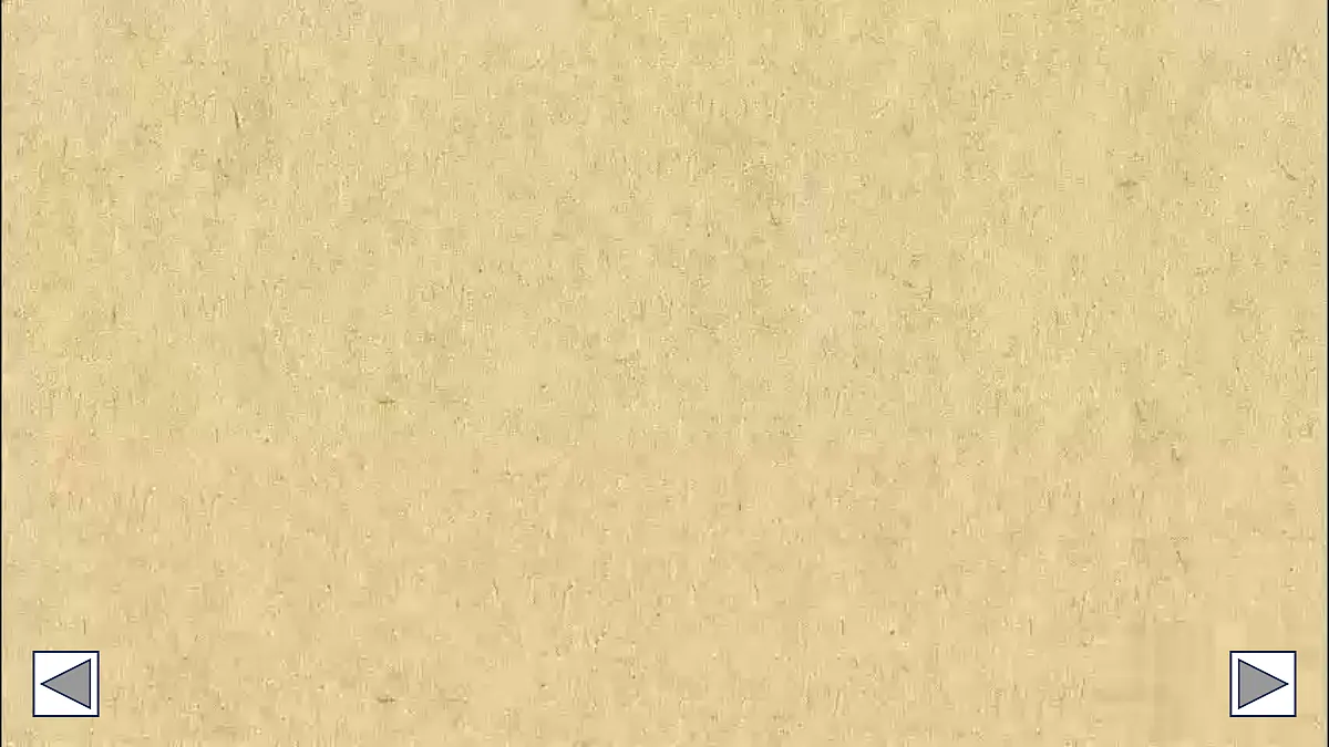 18386315第6页