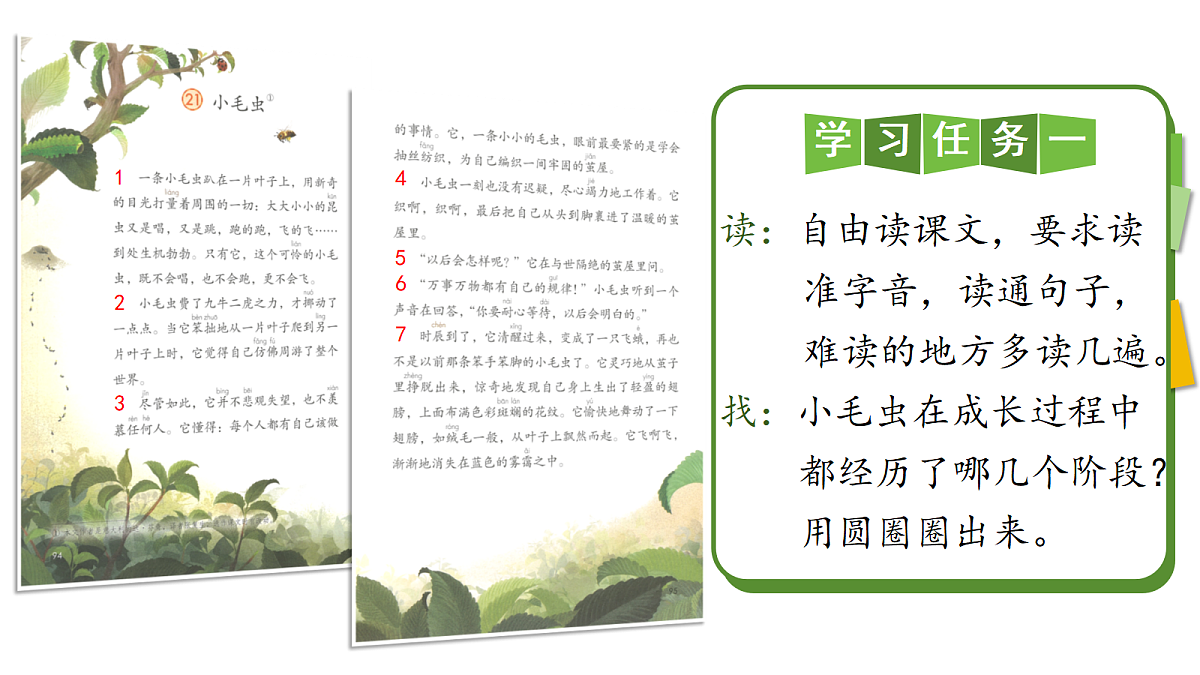 18386359第3页