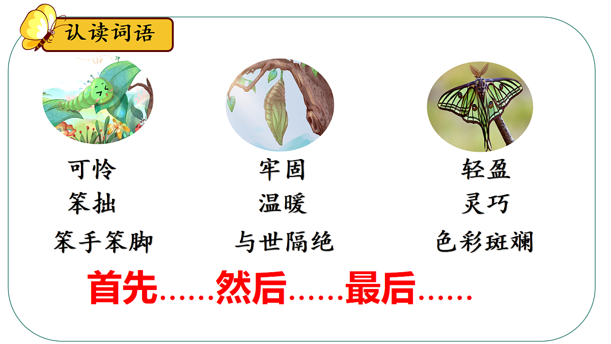 18386359第5页