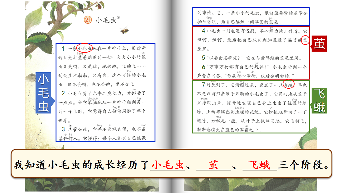 18386359第8页