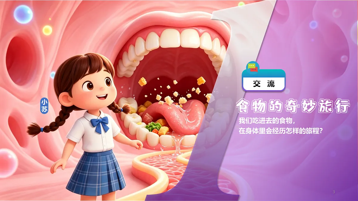18386584第3页