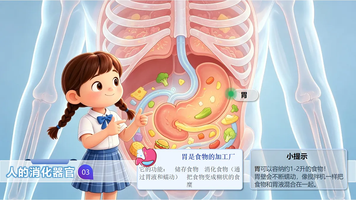18386584第8页