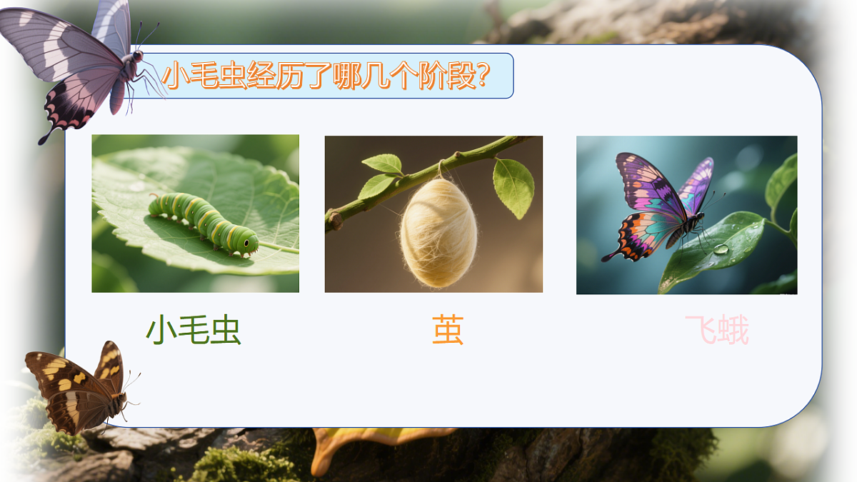 18387585第7页