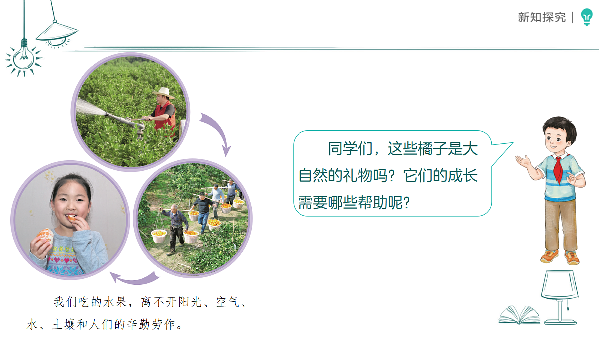 18387900第7页