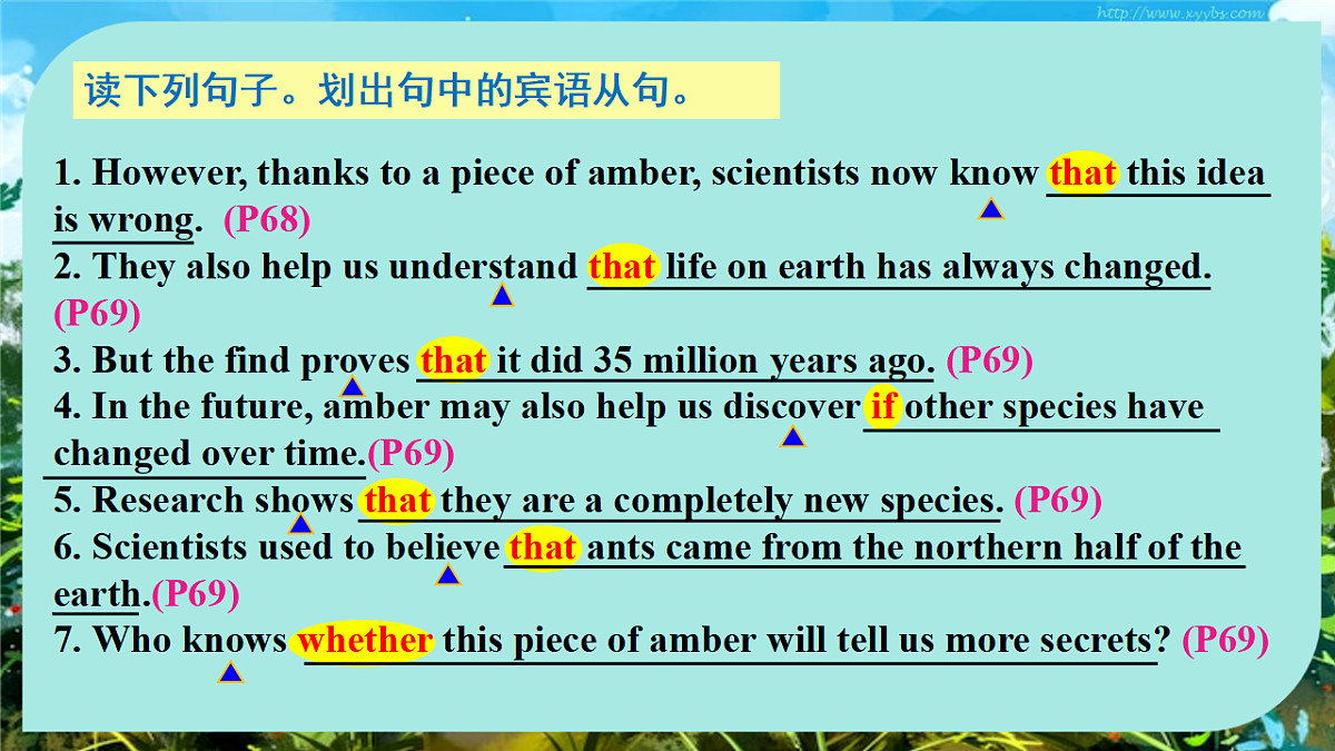 18388597第5页