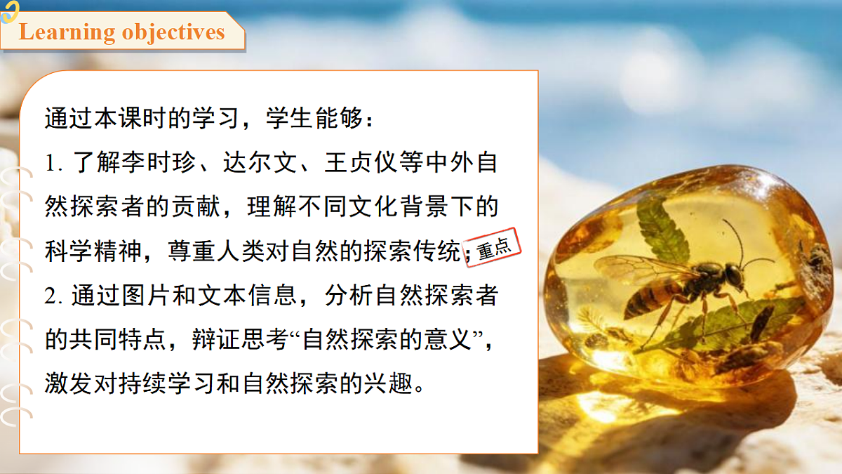 18388606第2页