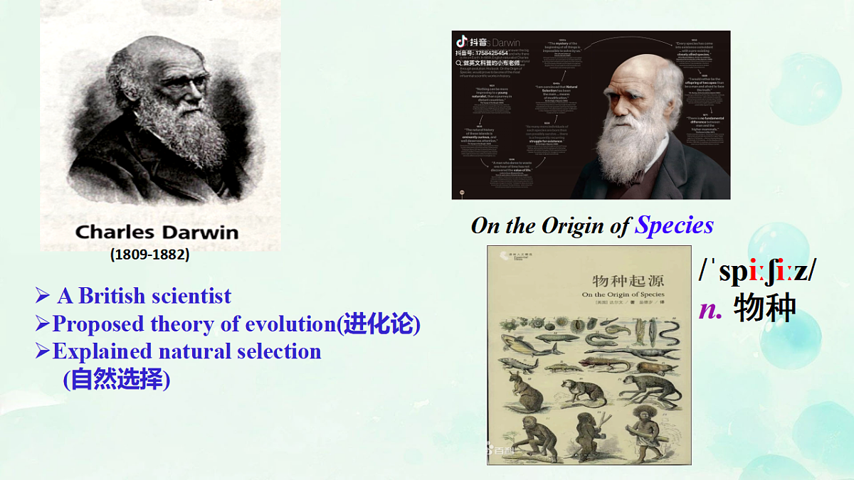 18388611第6页