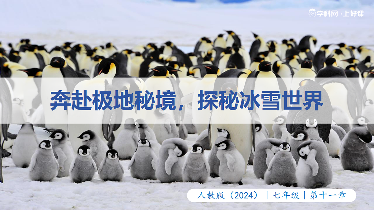 18388623第2页