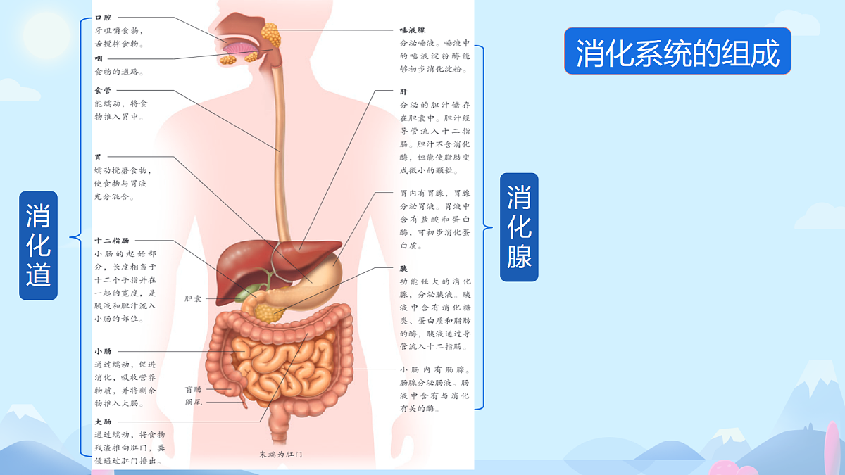 18389069第8页