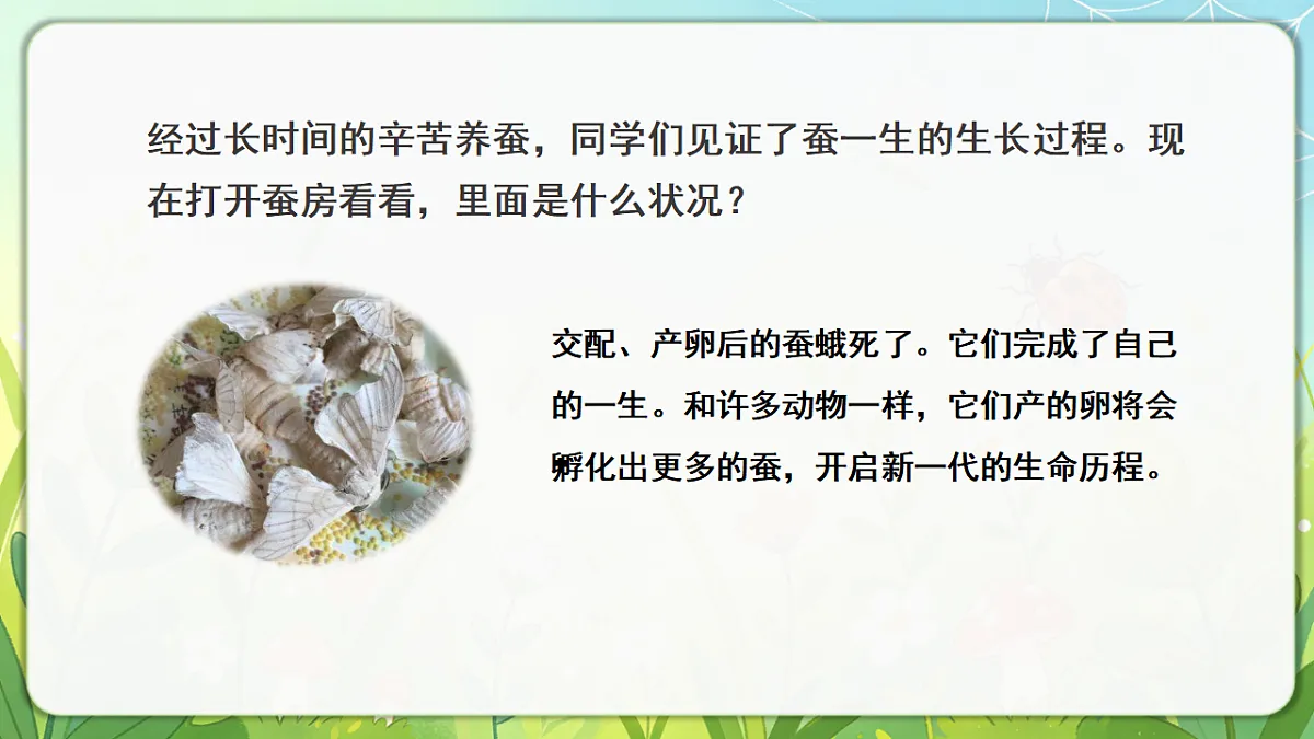 18390600第3页