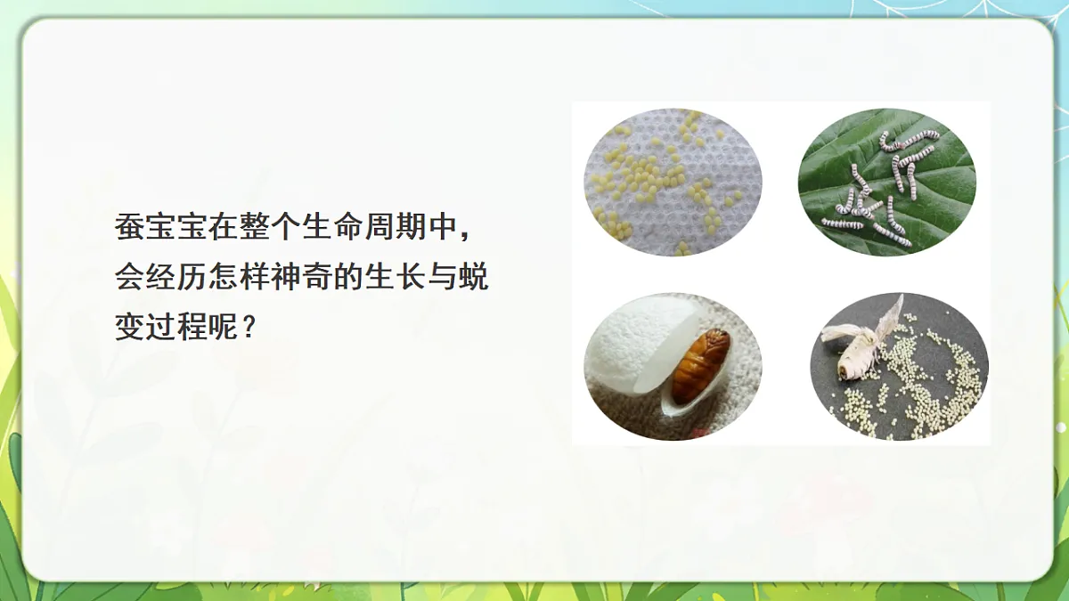 18390600第4页