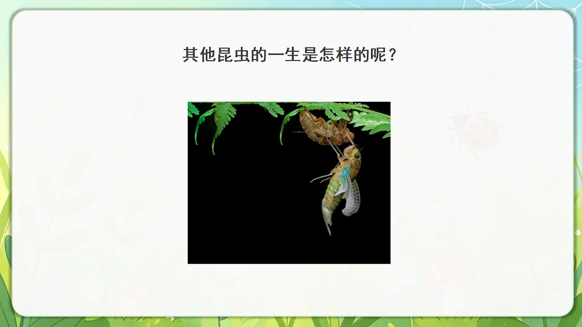 18390600第5页